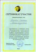 Сертификат участия " Солнечный город" 2017